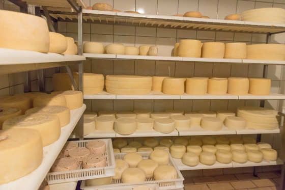 The Crete Senesi and Valdorcia: Pienza and Lunch at a Cheese Farm